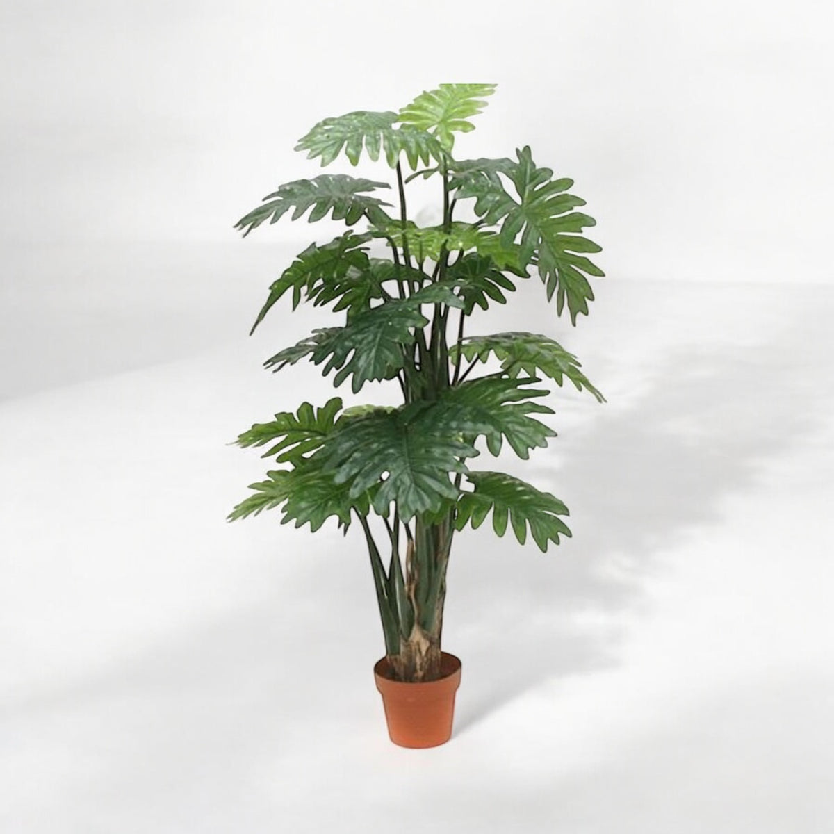 Planta Hoja Feliz 1.50 mts