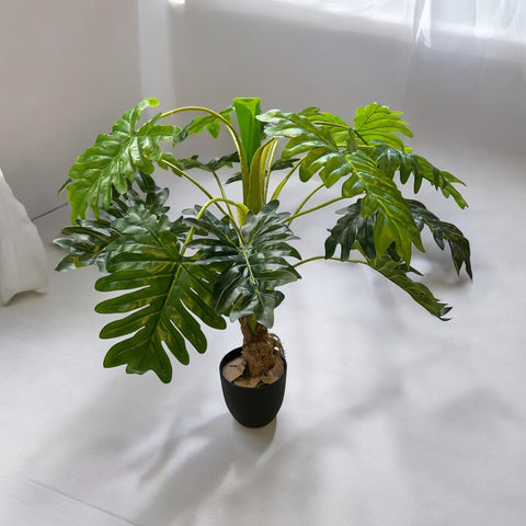 Planta Hoja Feliz de 80 cm
