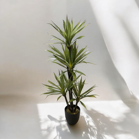 Planta Yuca 1.10 mts