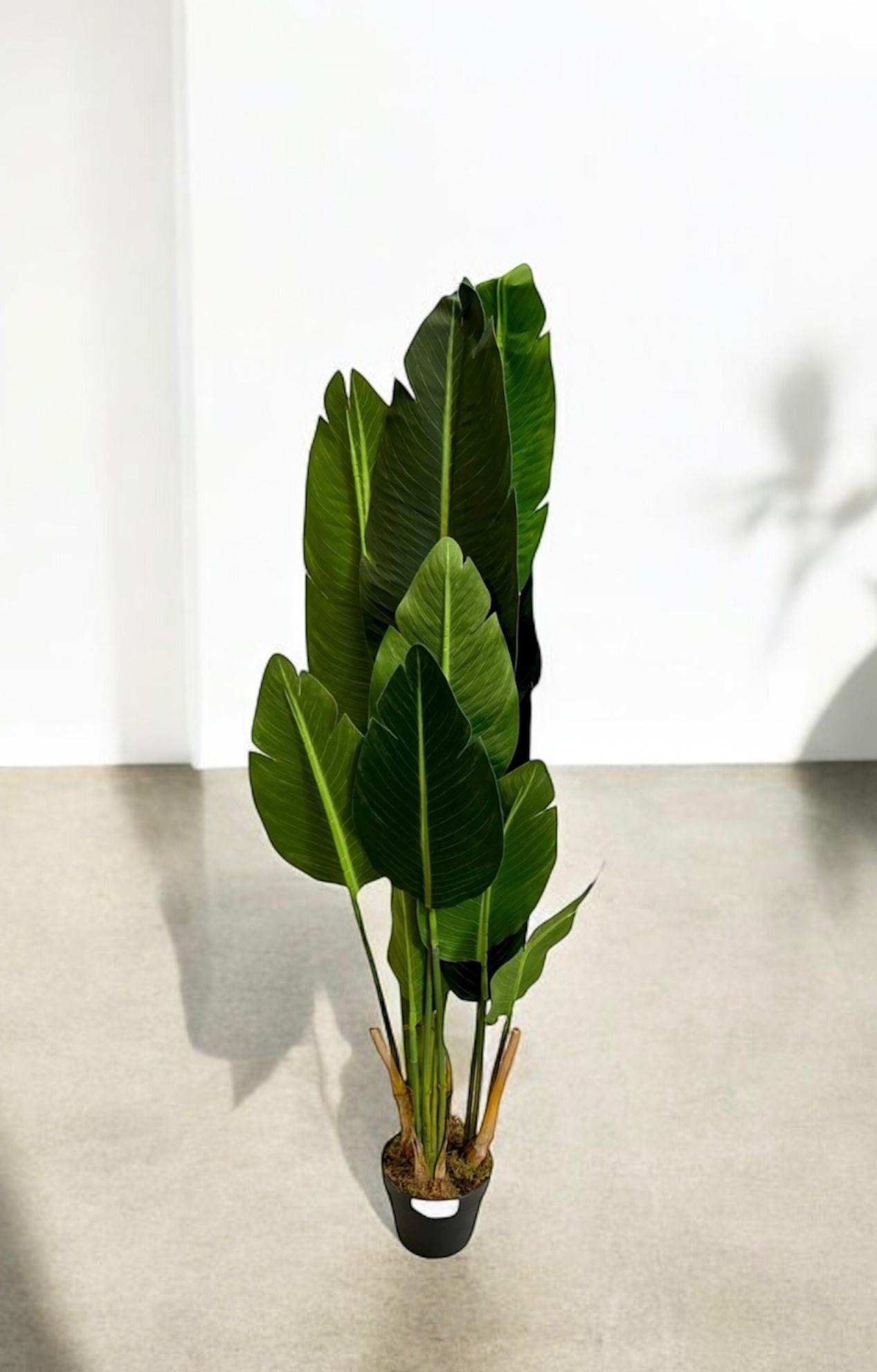 Planta Artificial Bird of Paradise 1.7m