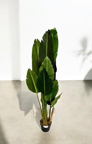 Planta Artificial Bird of Paradise 1.7m