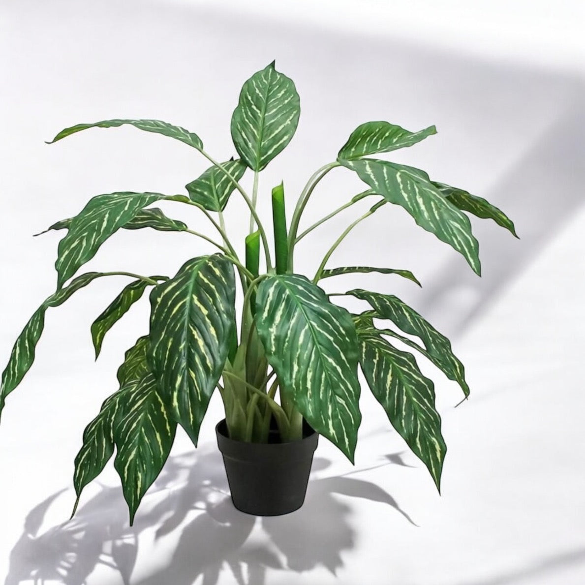 Planta Zebra 85cm
