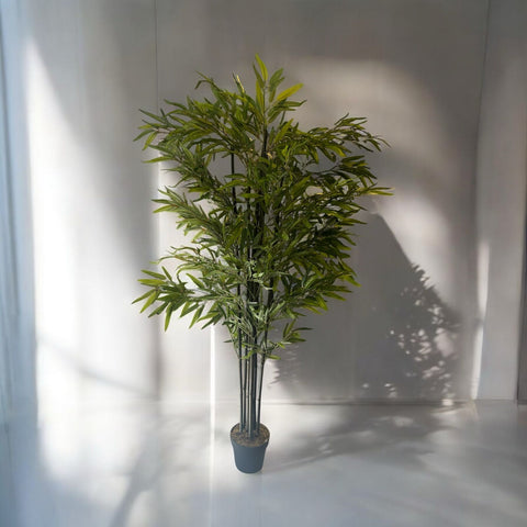 Planta Bamboo 1.80 mts