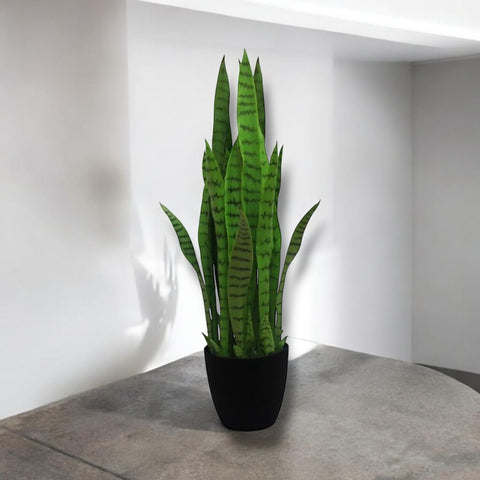 Planta Lengua de Suegra 90cms