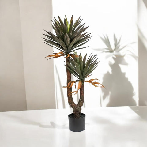 Planta Yuca Gloriosa X2 1.40 mts