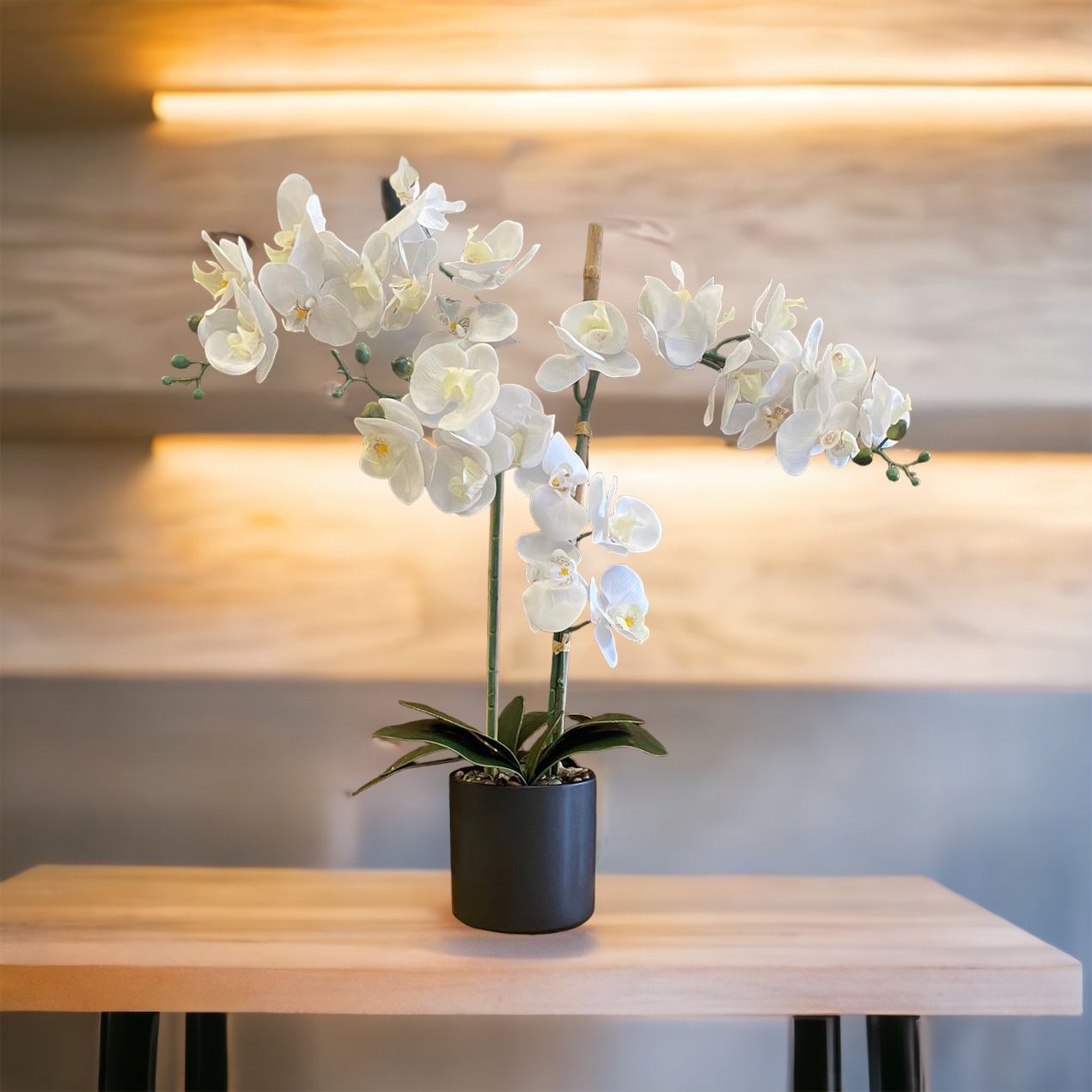 Orquídea Orchid W/Ceramic Pot