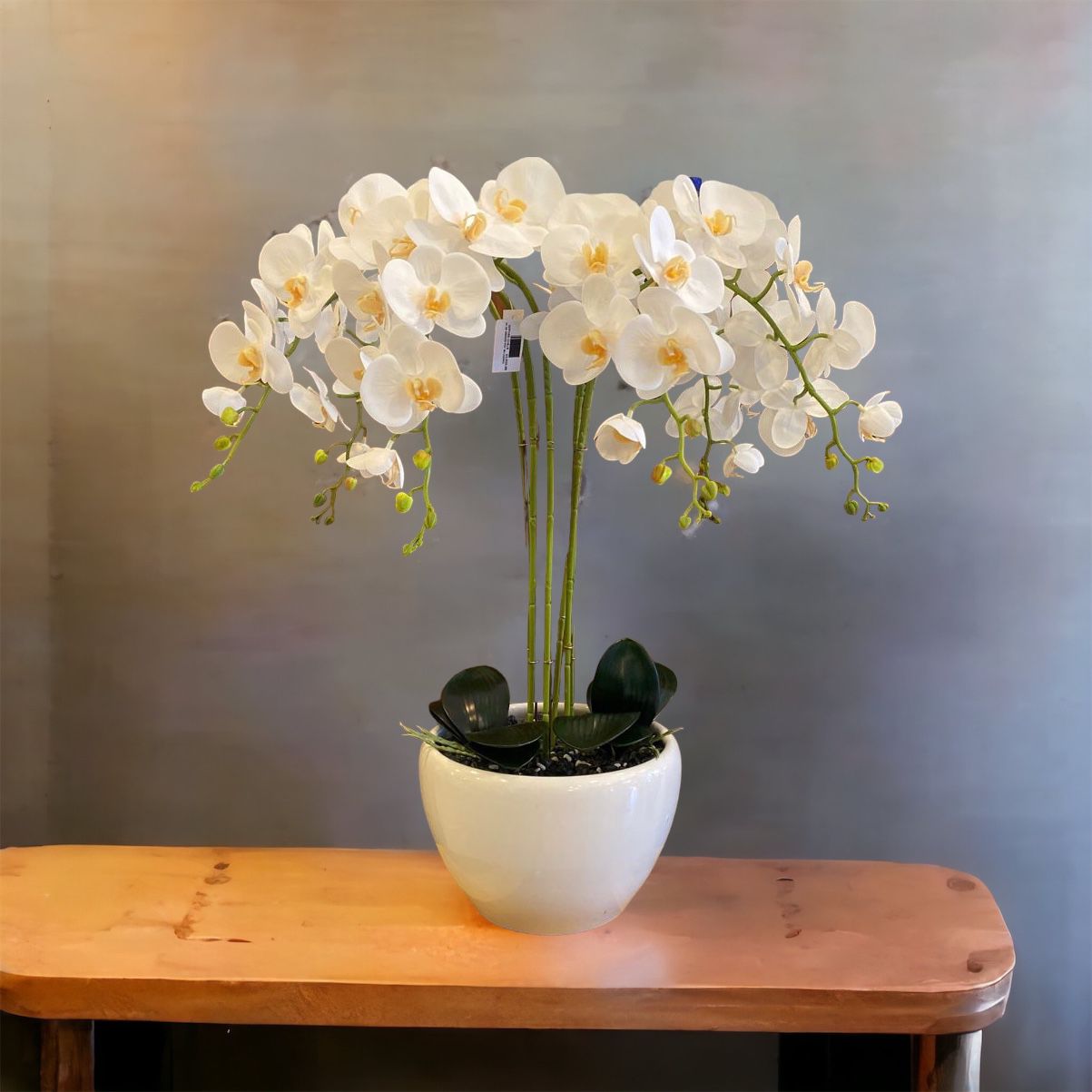 Orquídea 30IN Orchid Pot W/Leaves