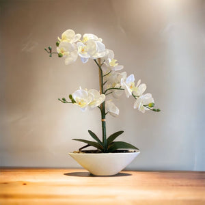 Orquídea Con Base Cerámica 23