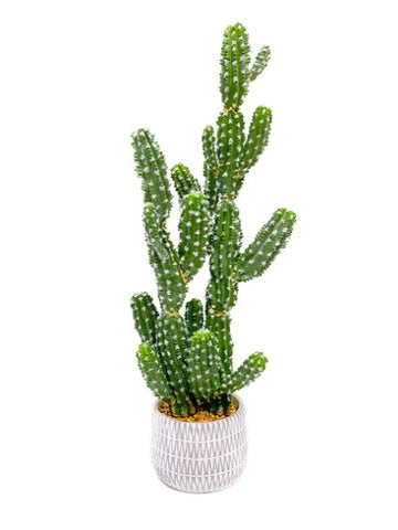 Planta Artificial Cactus Cereus 80cm