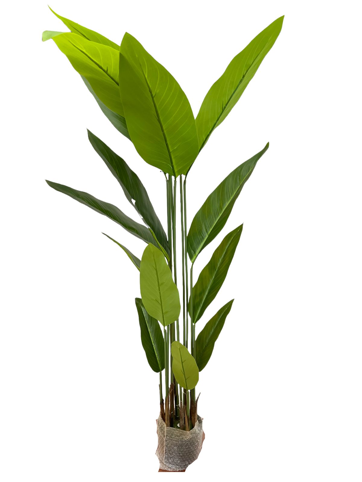 TROPICAL LEAF BIG