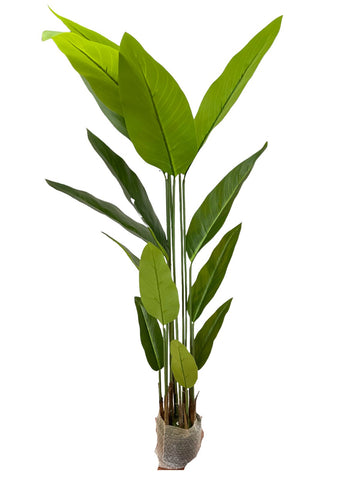 TROPICAL LEAF BIG