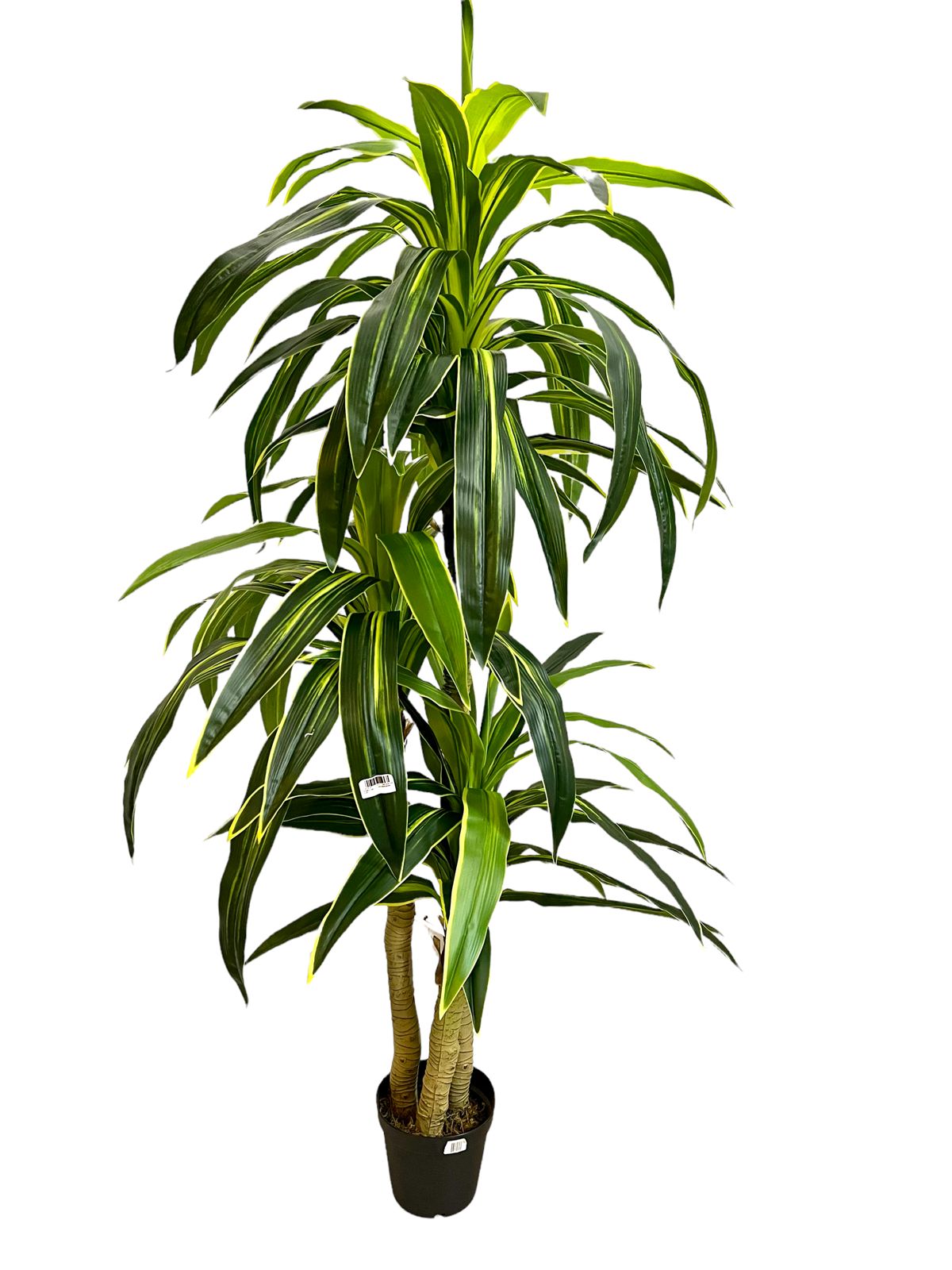 Planta Artificial Dracaena Y/G 8FT