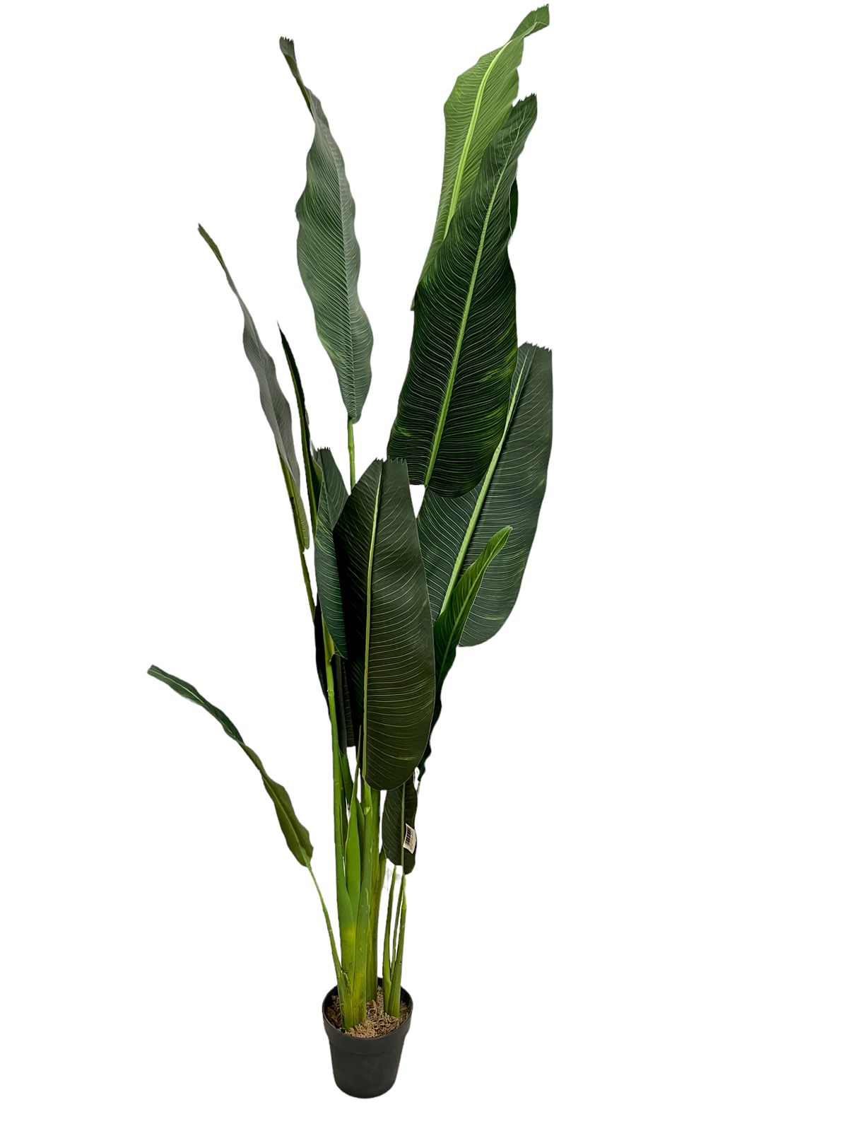 Planta Artificial Traveller Tree 91In