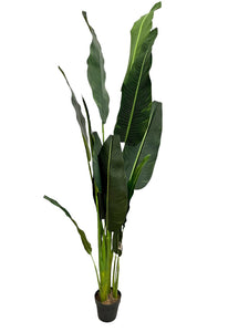 Planta Artificial Traveller Tree 91In
