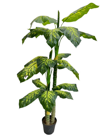 Planta Artificial Dracaena W/2.1m