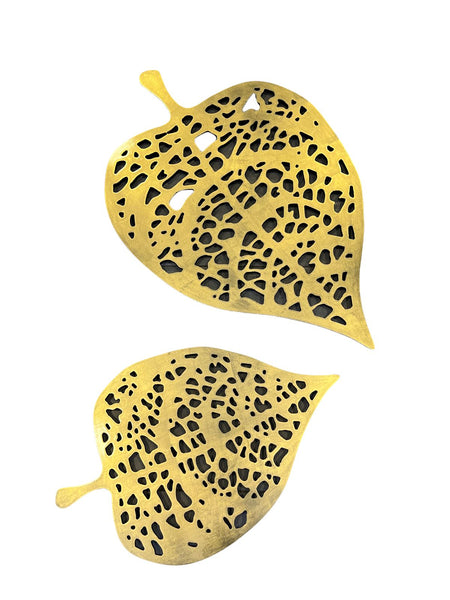 Hojas Otoño