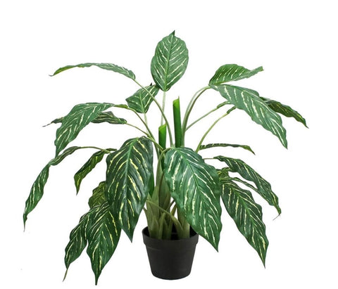 Planta Zebra 85cm